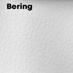 bering