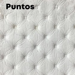 puntos